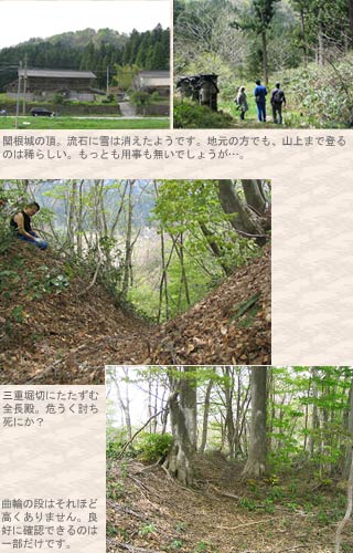 関根城