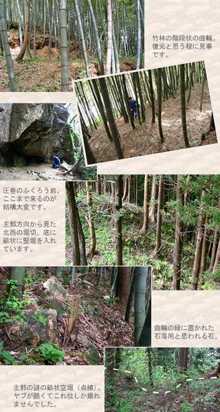 藤沢館