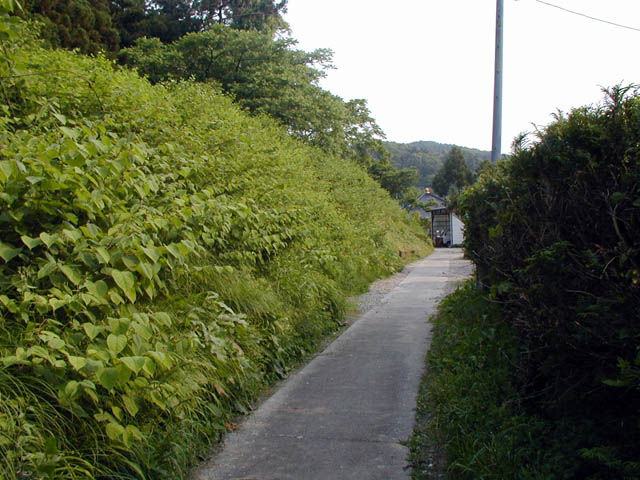村上城 外郭土塁跡跡