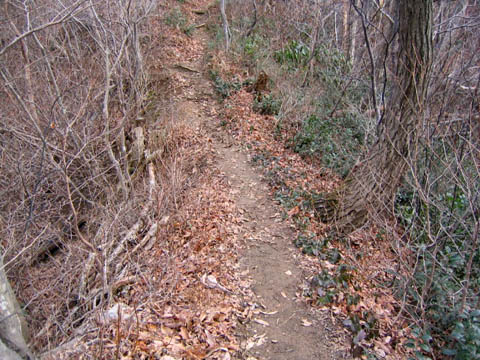 下渡城跡　堀切のない西城道