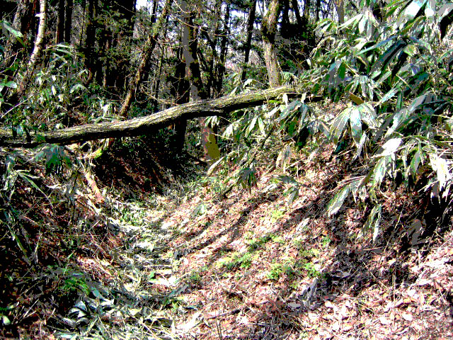 村上城・八幡道（堀切痕跡）