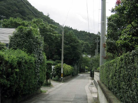 村上市・羽黒口付近の景観