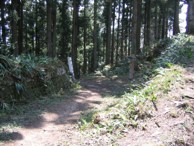 村上城 埋門跡 写真
