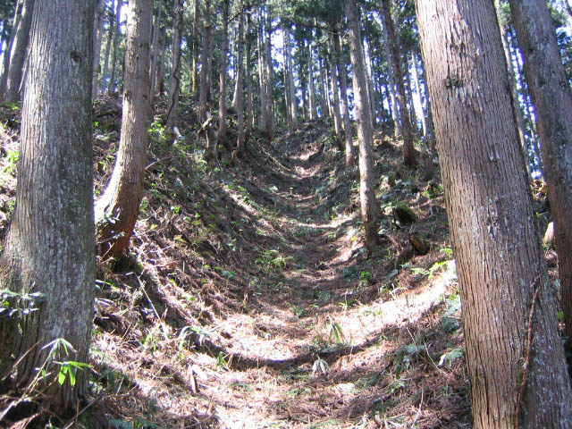 村上城　靱櫓跡付近の竪堀　写真