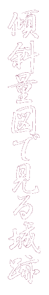 傾斜量図で見る城跡